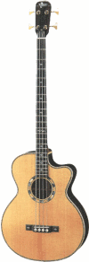 vspb-bob acoustic bass