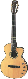 vspgerry gerry mcgee signature acoustic electric