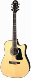 v,20ce acoustic electric guitar natural gloss